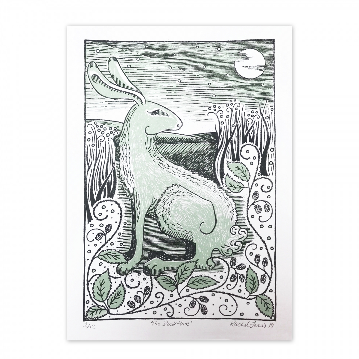 'The Dusk Hare' by Rachel Jarvis
